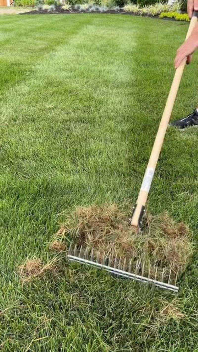 Address Thatch Buildup