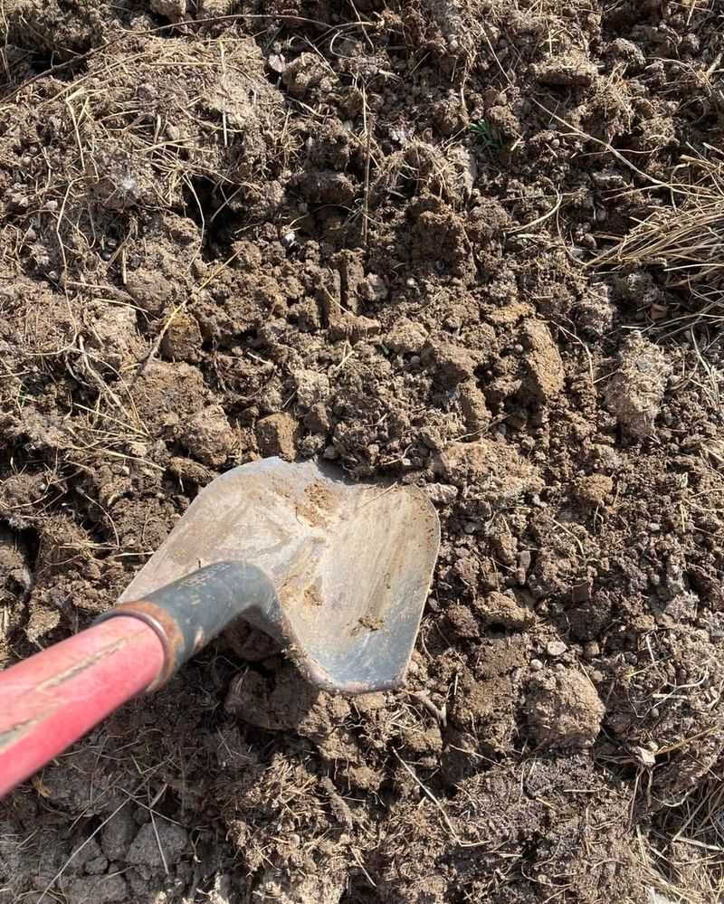 Aerate Clay Soils