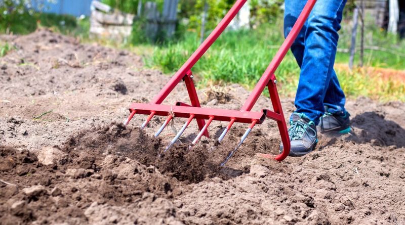 Aerate the Soil