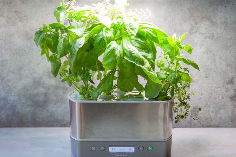 AeroGarden Harvest Elite