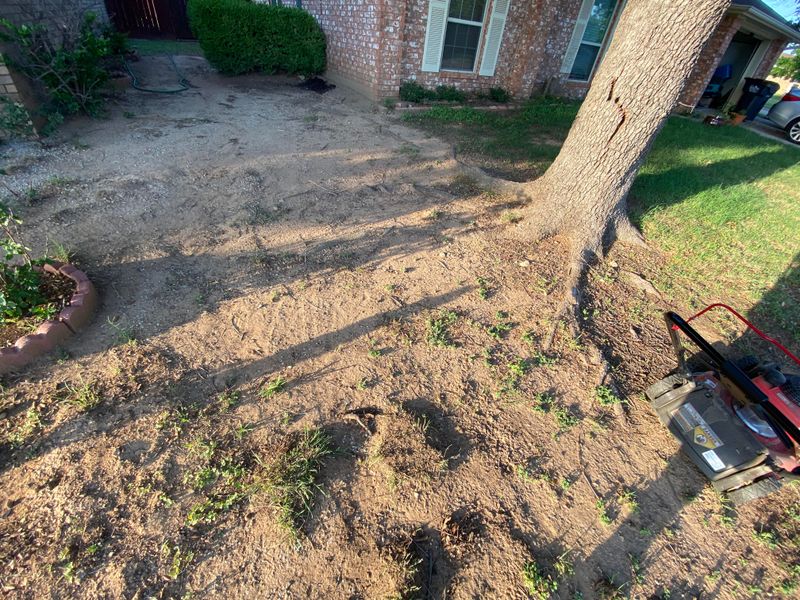 Ignoring Soil Erosion