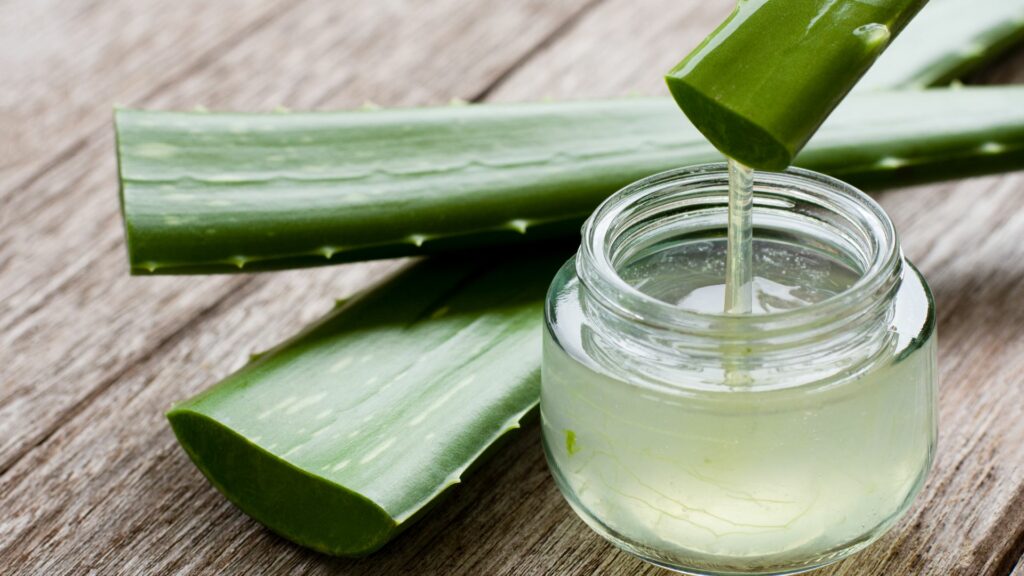 aloe vera gel for orchids