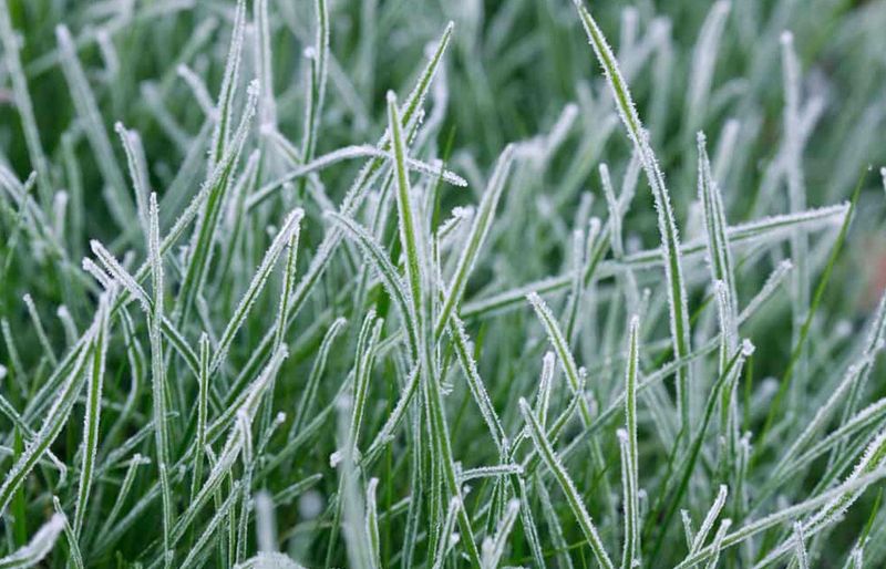 Applying fertilizer on frozen ground