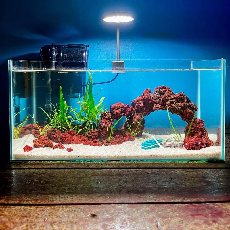 Aquarium Decoration