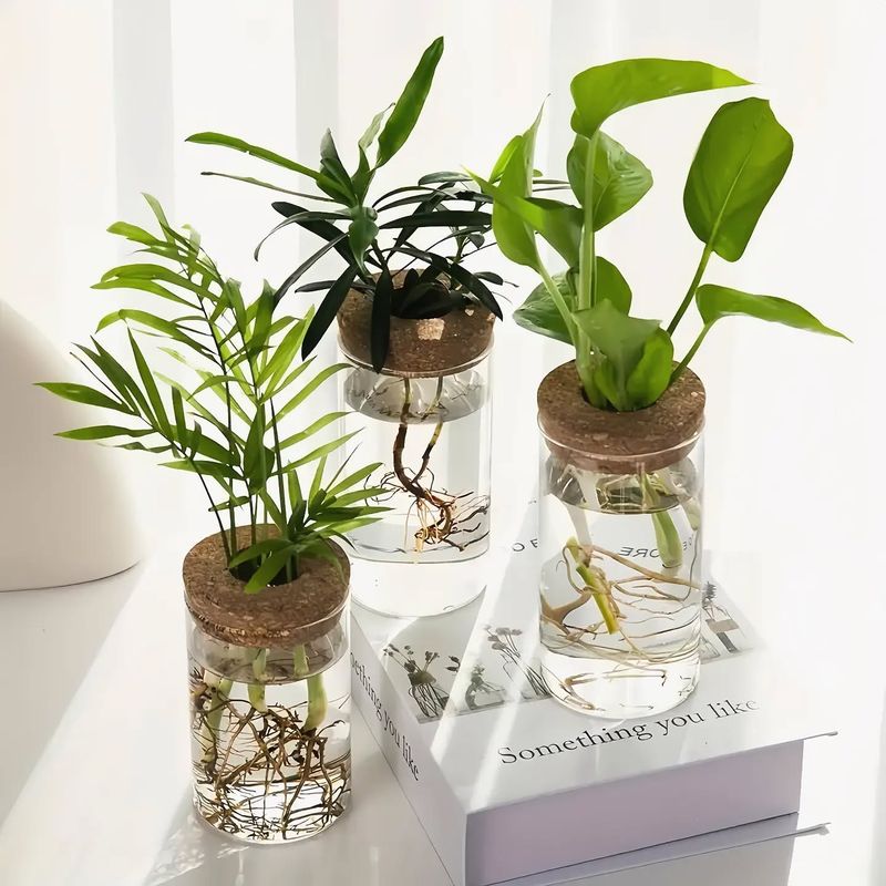 Aquatic Plant Vases