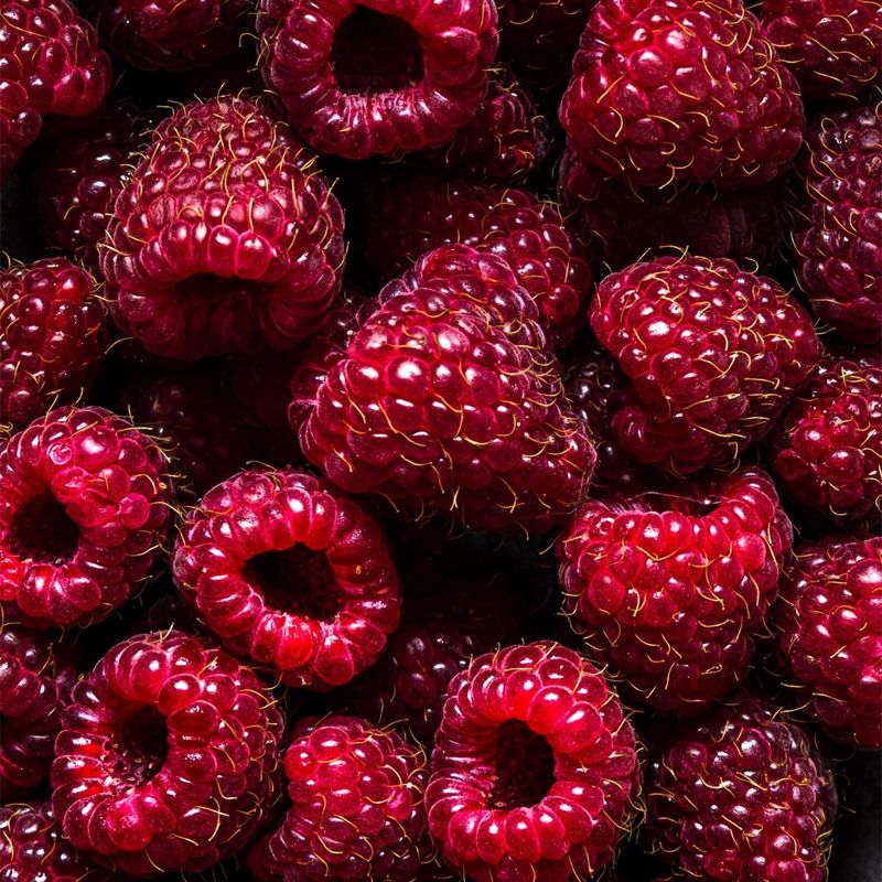 Brambleberry