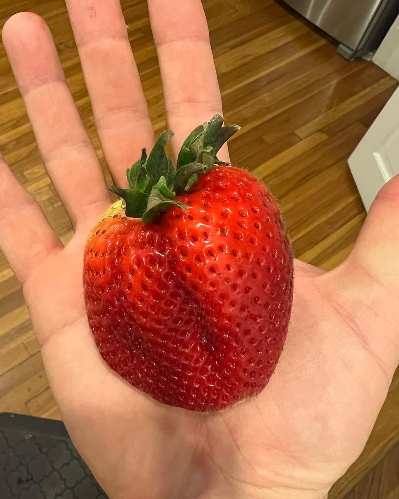 Arkansas - Massive Strawberry