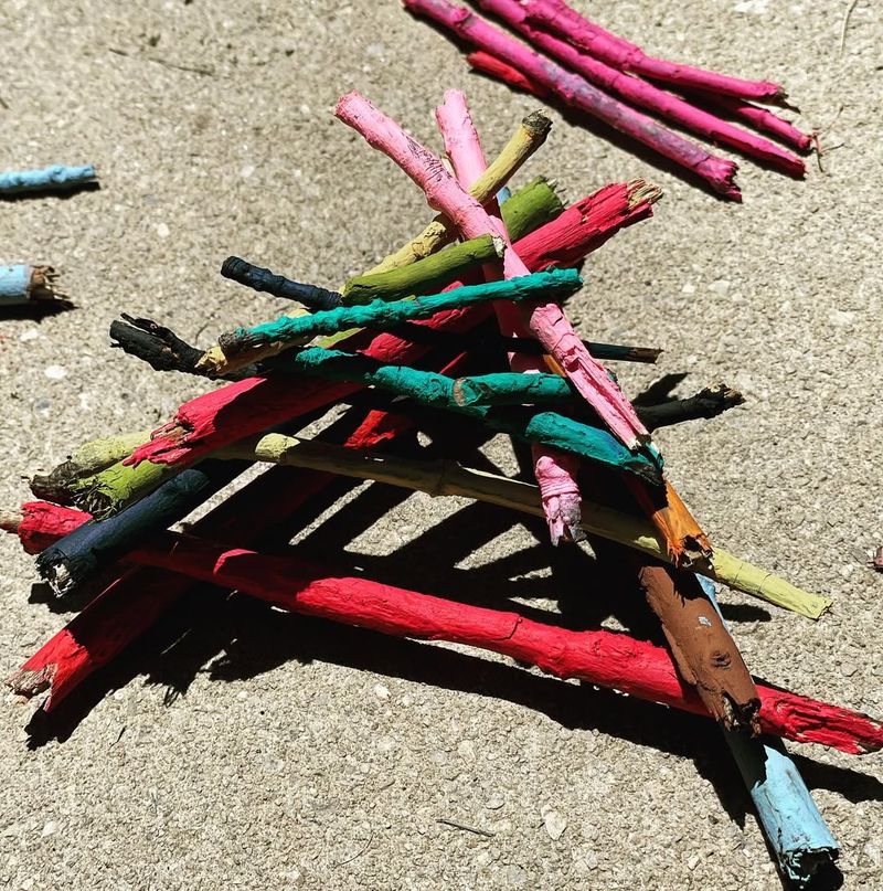 Painted Twigs