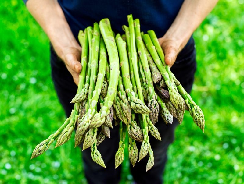 Asparagus