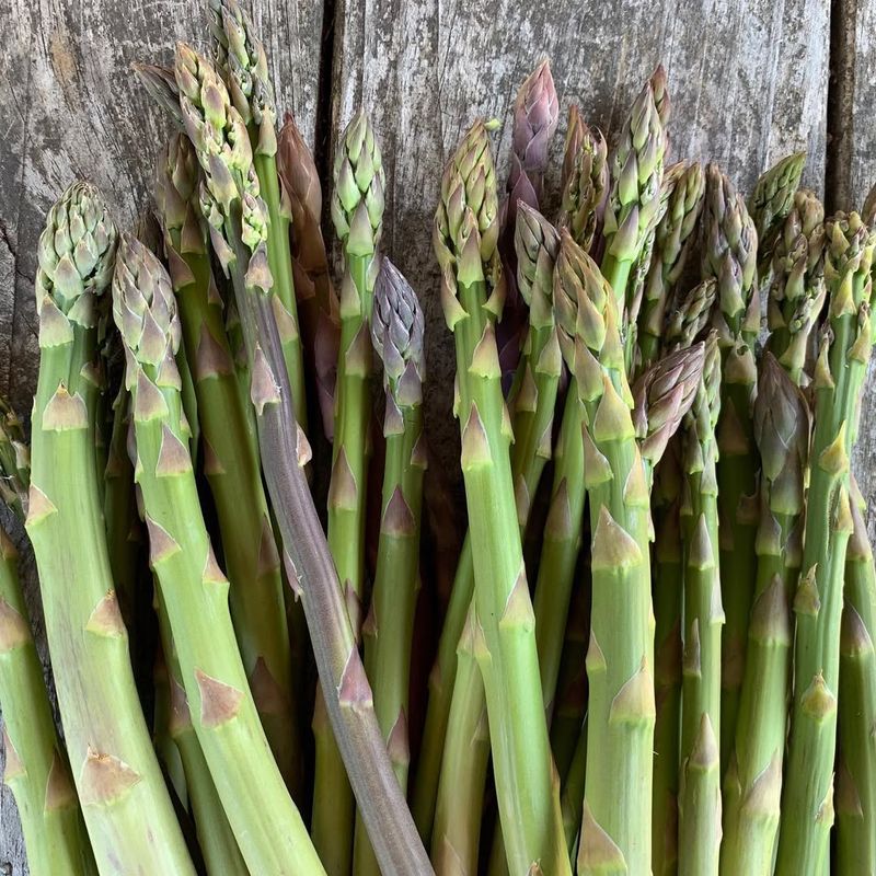 Asparagus