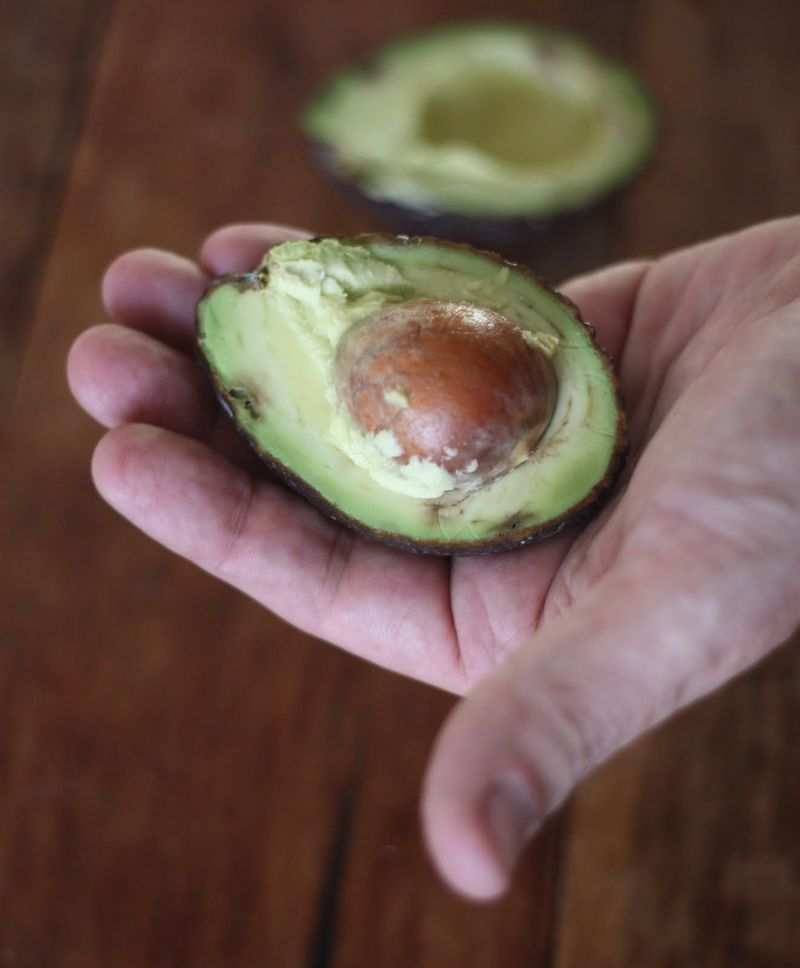 Avocado Pits