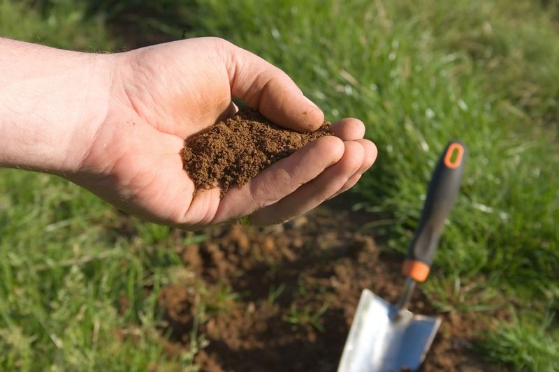 Avoid Soil Compaction