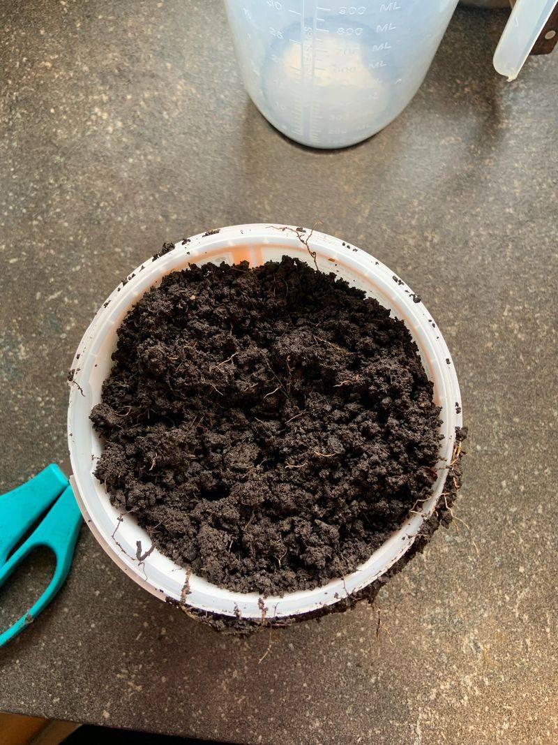 Avoid Using Garden Soil Indoors