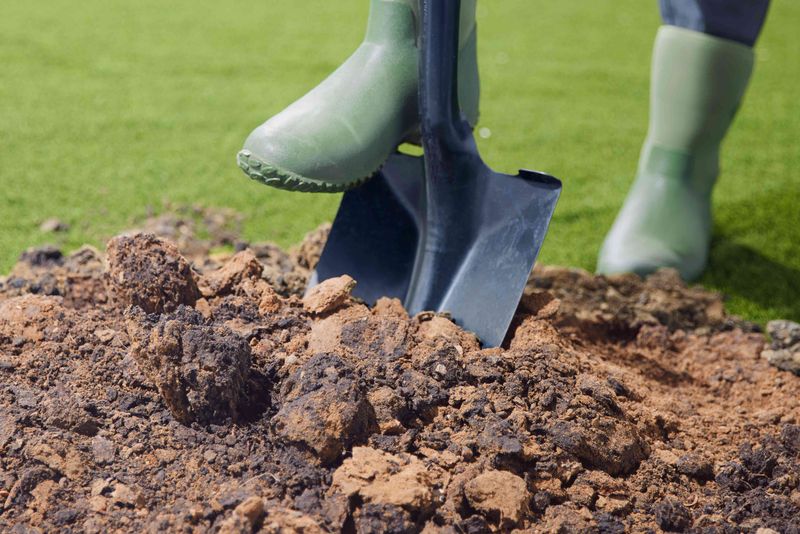 Avoid using heavy, compact soil