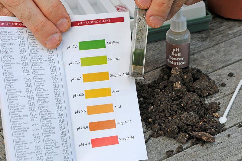 Balance Soil pH