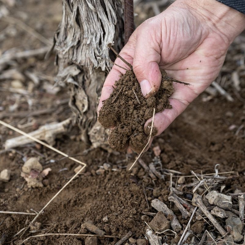 Balance Soil pH