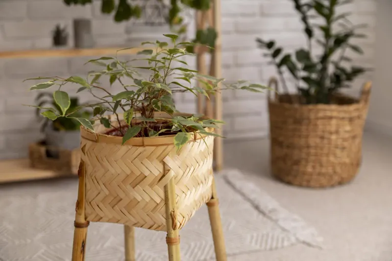 Bamboo Baskets