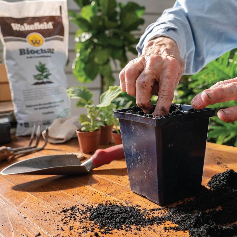 Biochar