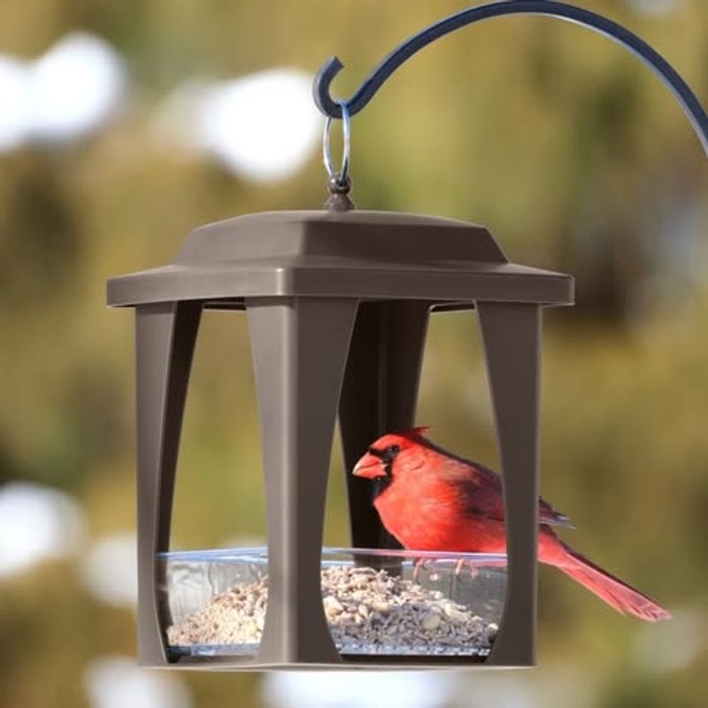 Bird Feeder Fill