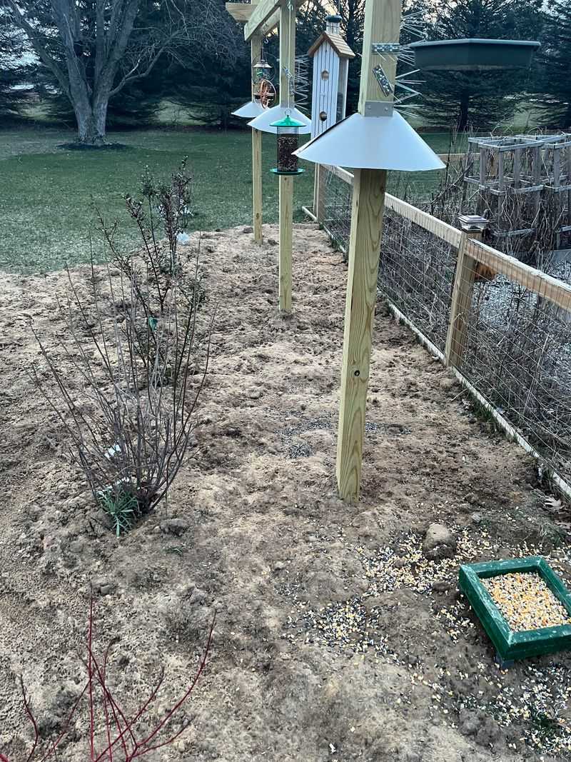 Bird Feeders