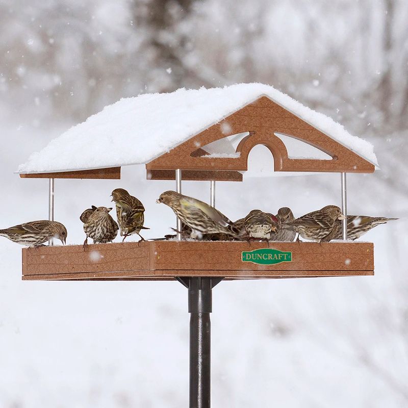 Bird Feeders