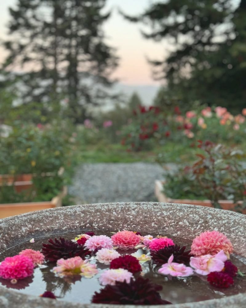 Birdbath Flower Display