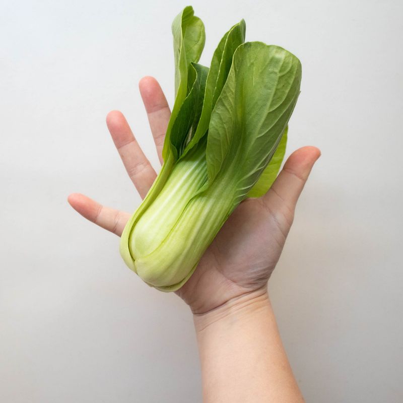 Bok Choy