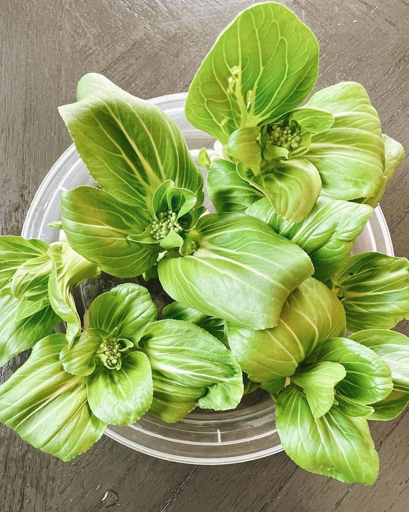 Bok Choy