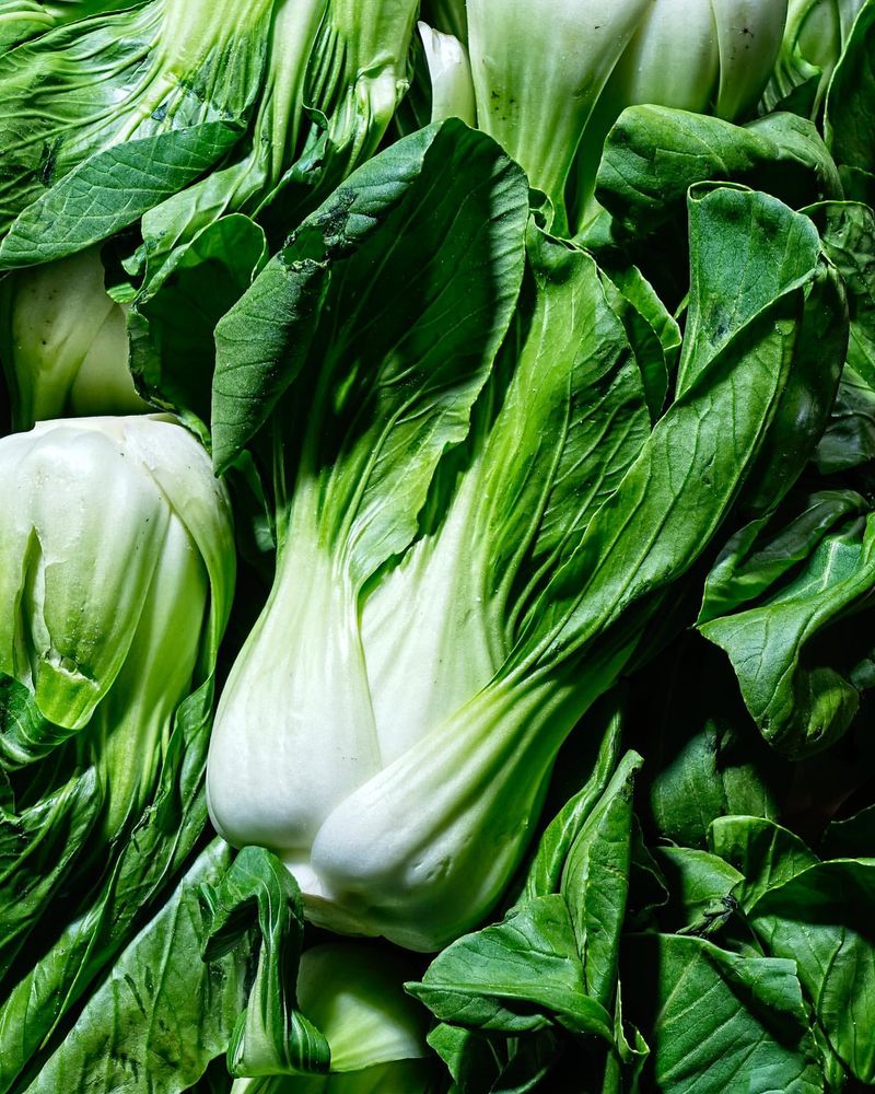 Bok Choy