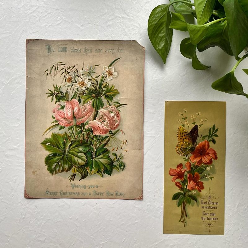 Botanical Prints