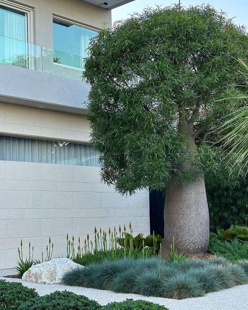 Bottle Tree