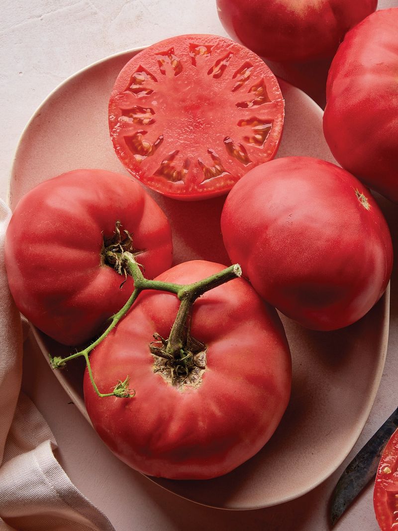 Brandywine Tomato