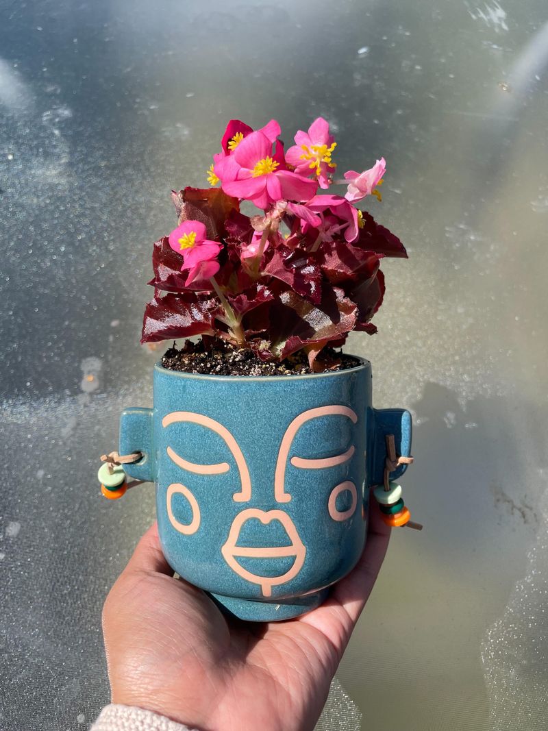 Brightly Colored Pots