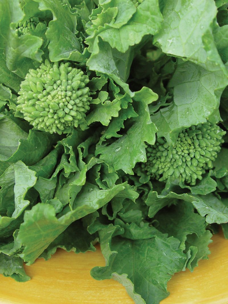 Broccoli Raab