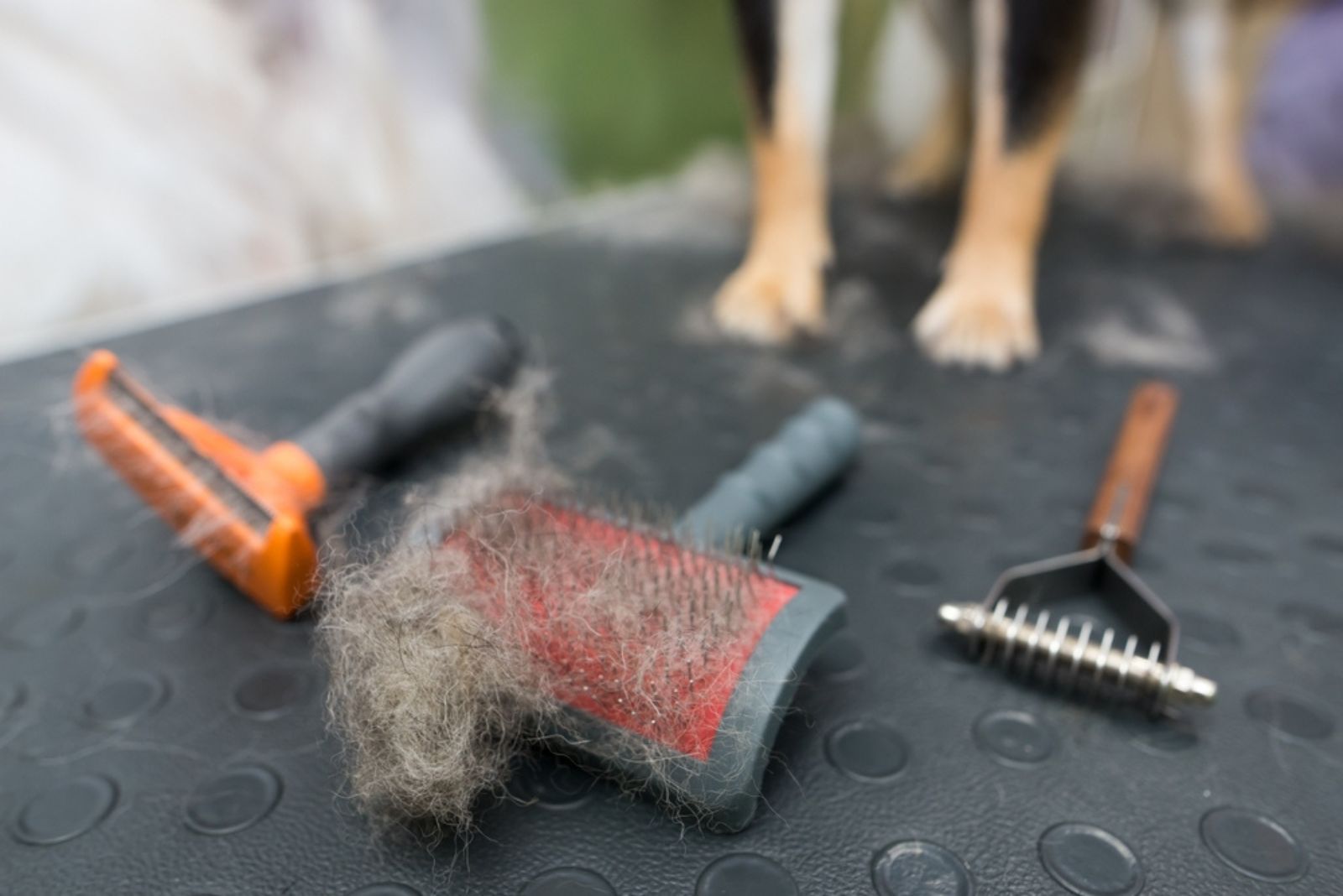 Brush with shreds of animal fur