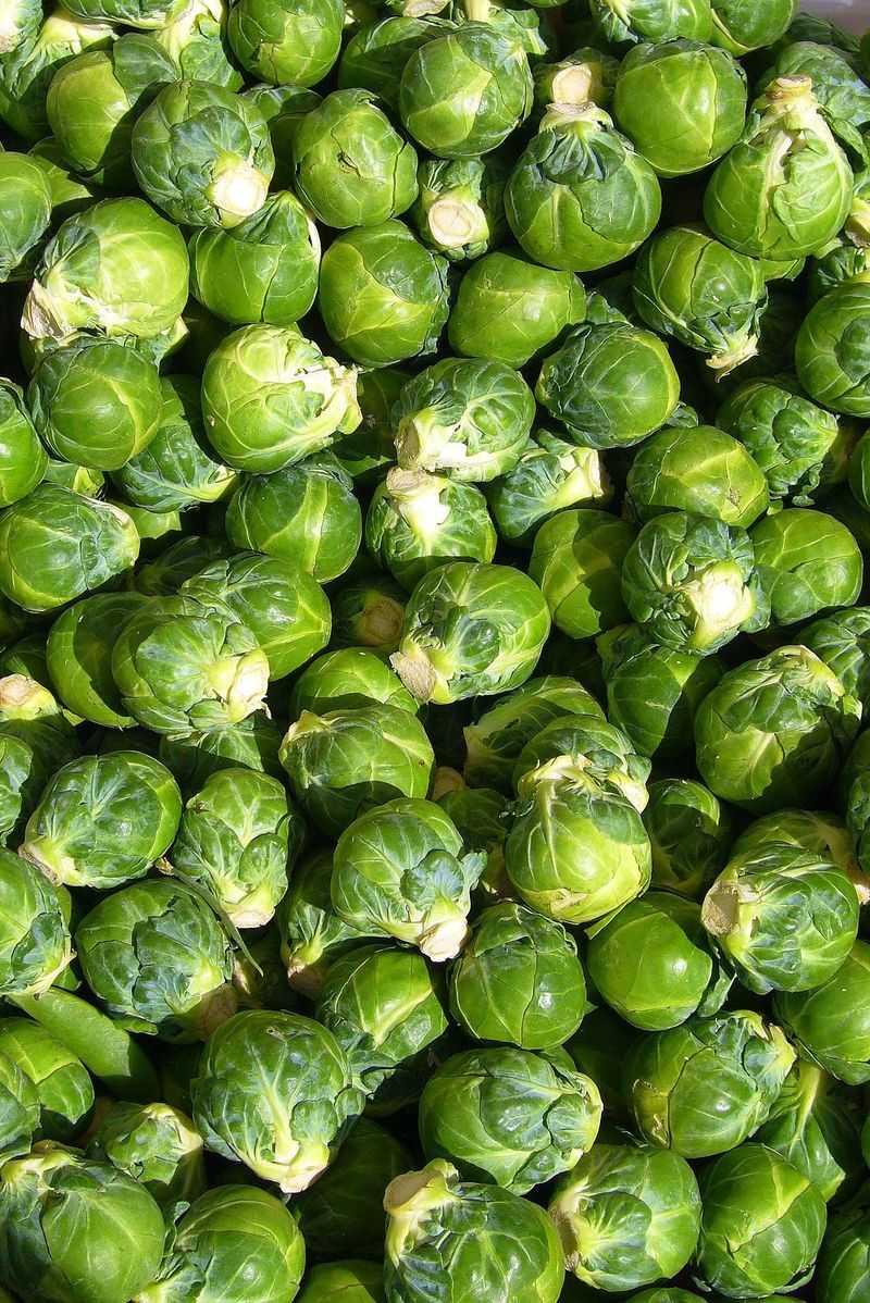 Brussels Sprouts