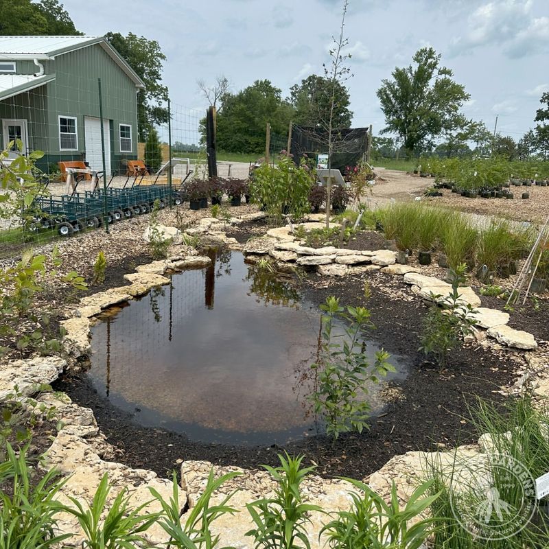 Build a Natural Clay Pond