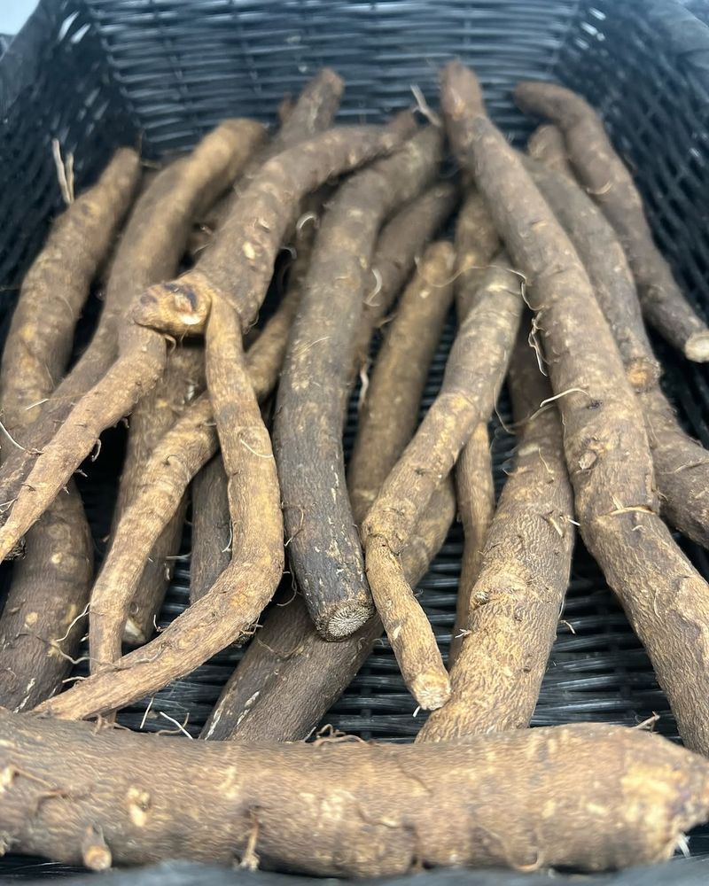 Burdock Root