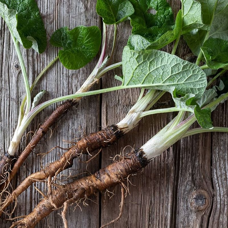 Burdock Root