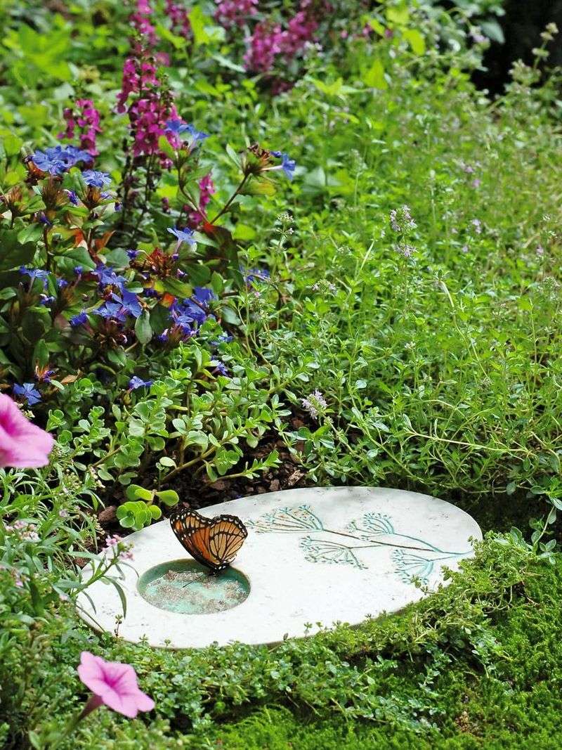 Butterfly Puddling Station