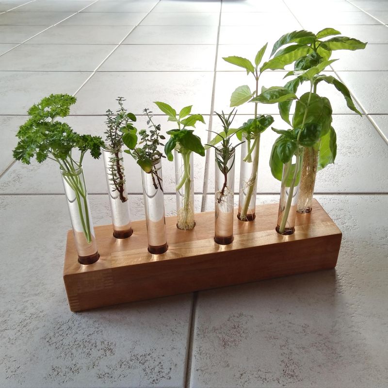 Can I propagate herbs from cuttings?