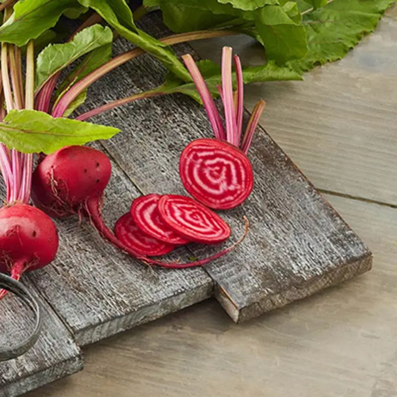 Candy Cane Beet