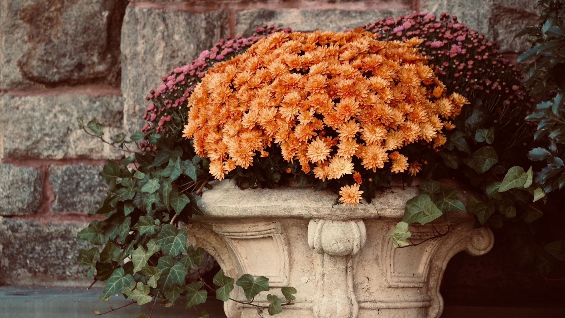 Can’t Go Wrong With This Simple Trick For Filling Up Large Planters