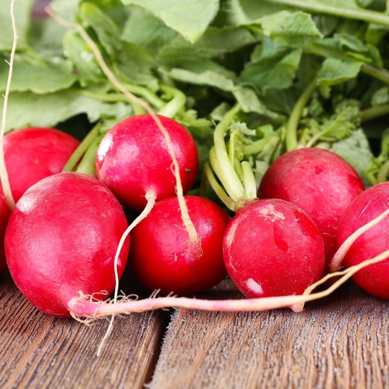 Radish