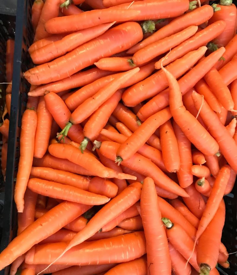 Carrots