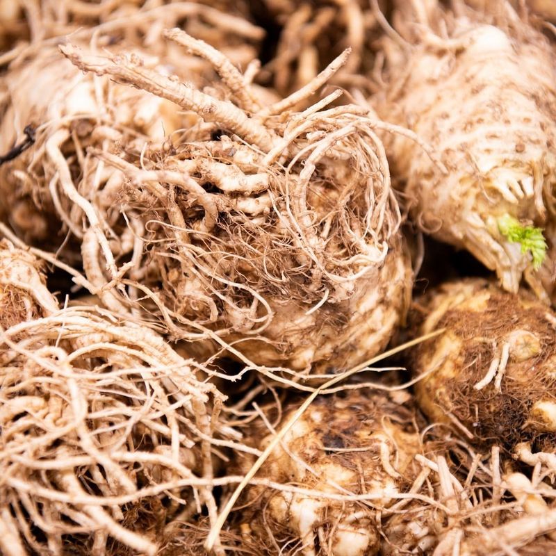 Celeriac