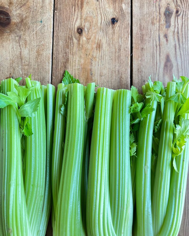 Celery