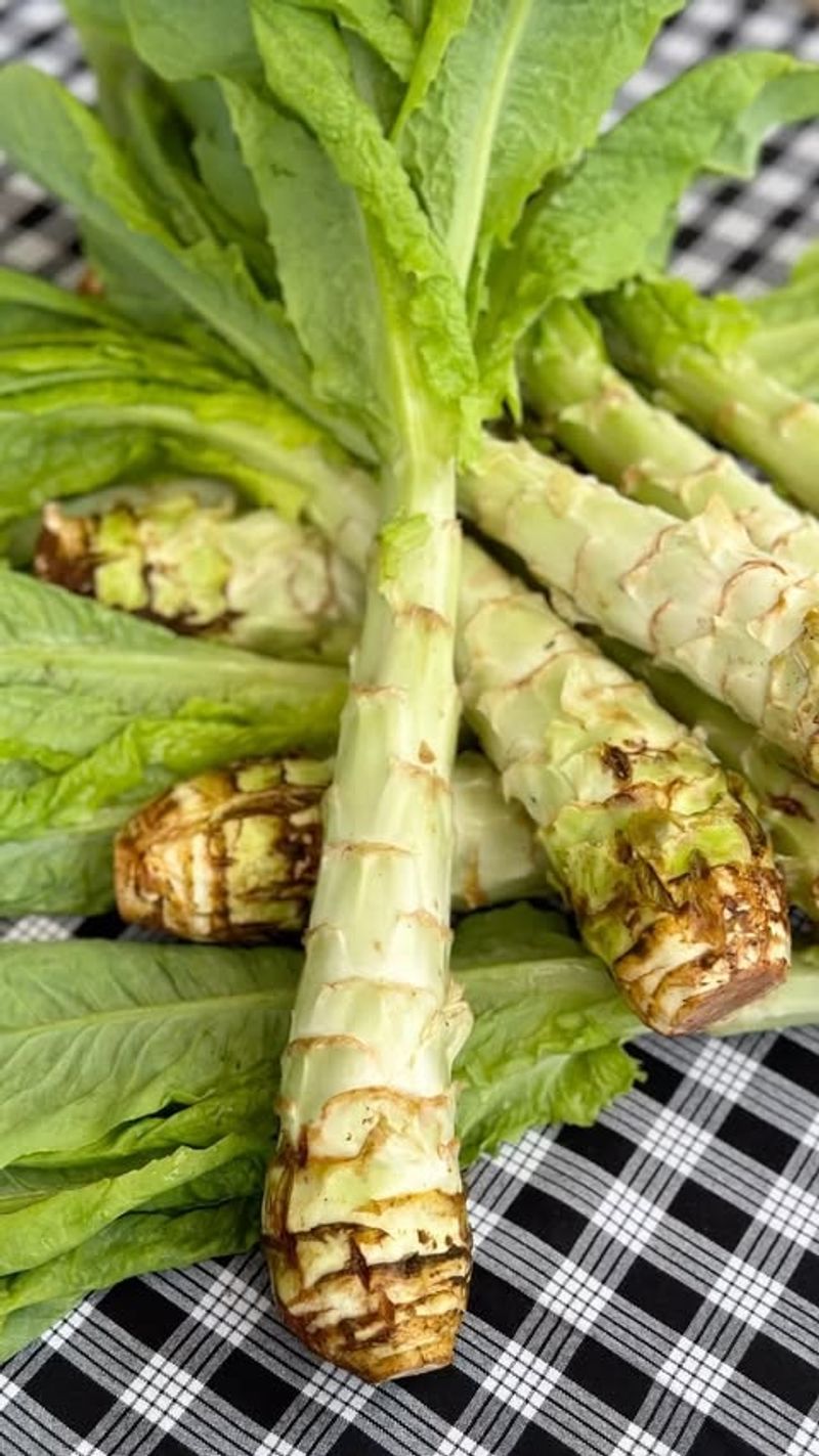 Celtuce