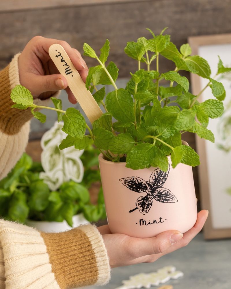 Chalkboard Label Pots