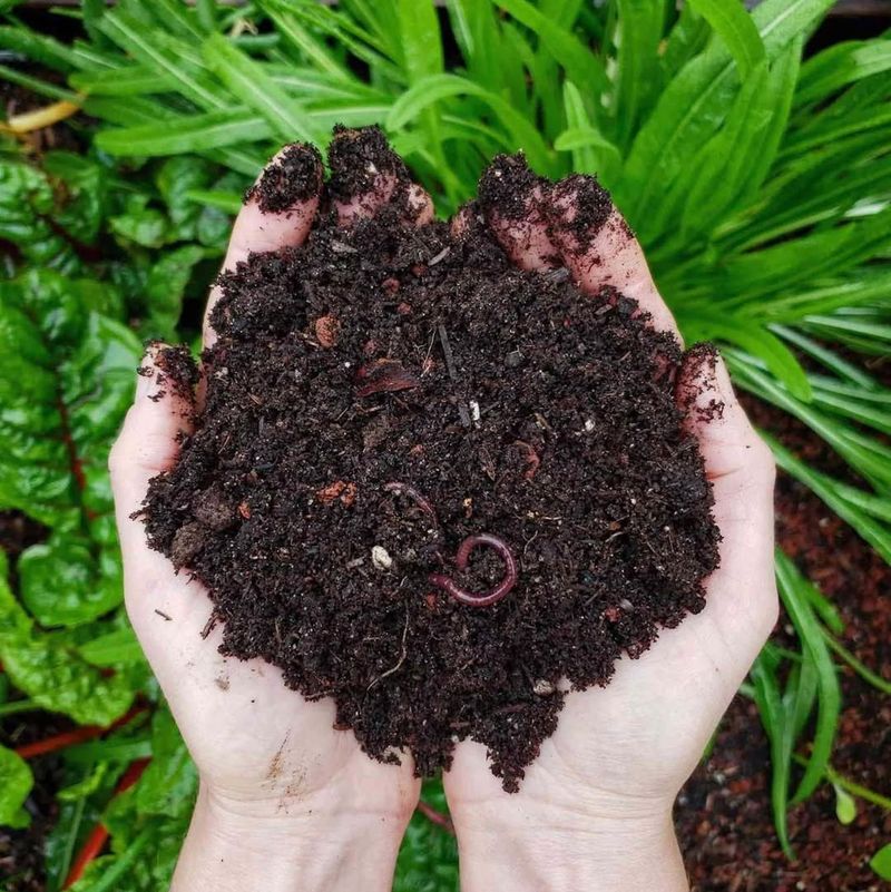 Cherry Pit Compost Additive